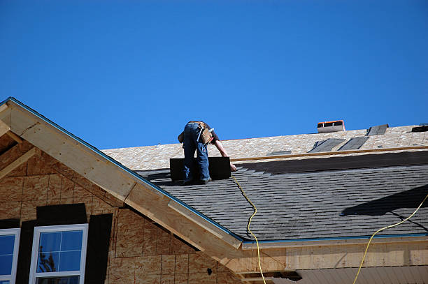 Best Roof Moss and Algae Removal  in Waynesboro, VA