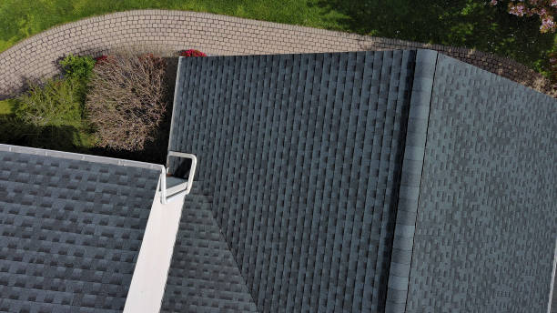 Best Green or Eco-Friendly Roofing Solutions  in Waynesboro, VA