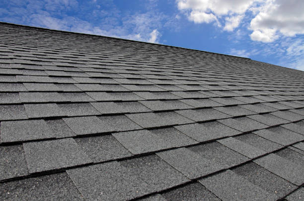 Best Roof Inspection  in Waynesboro, VA